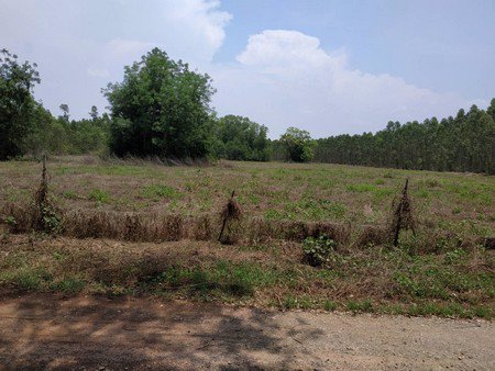 ขายที่ดิน-9ไร่-1งาน-19ตรว-ทำเลดีอยู่แหล่งชุมชน-และ-ท่องเที่ยว-จปราจีนบุรี