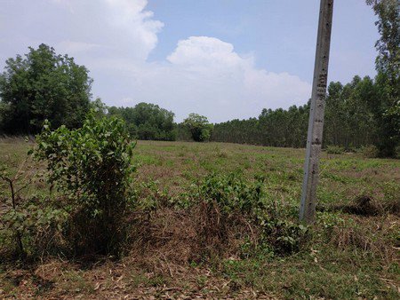 ขายที่ดิน-9ไร่-1งาน-19ตรว-ทำเลดีอยู่แหล่งชุมชน-และ-ท่องเที่ยว-จปราจีนบุรี