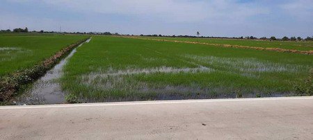 ขายที่ดินสวย-ทำเลดี-46-ไร่-เหมาะกับการทำธุรกิจต่างๆ-ใกล้สนามบินสุวรรณภูมิ