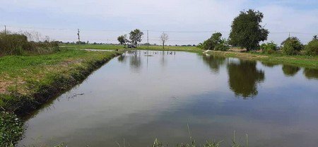 ขายที่ดินสวย-ทำเลดี-46-ไร่-เหมาะกับการทำธุรกิจต่างๆ-ใกล้สนามบินสุวรรณภูมิ