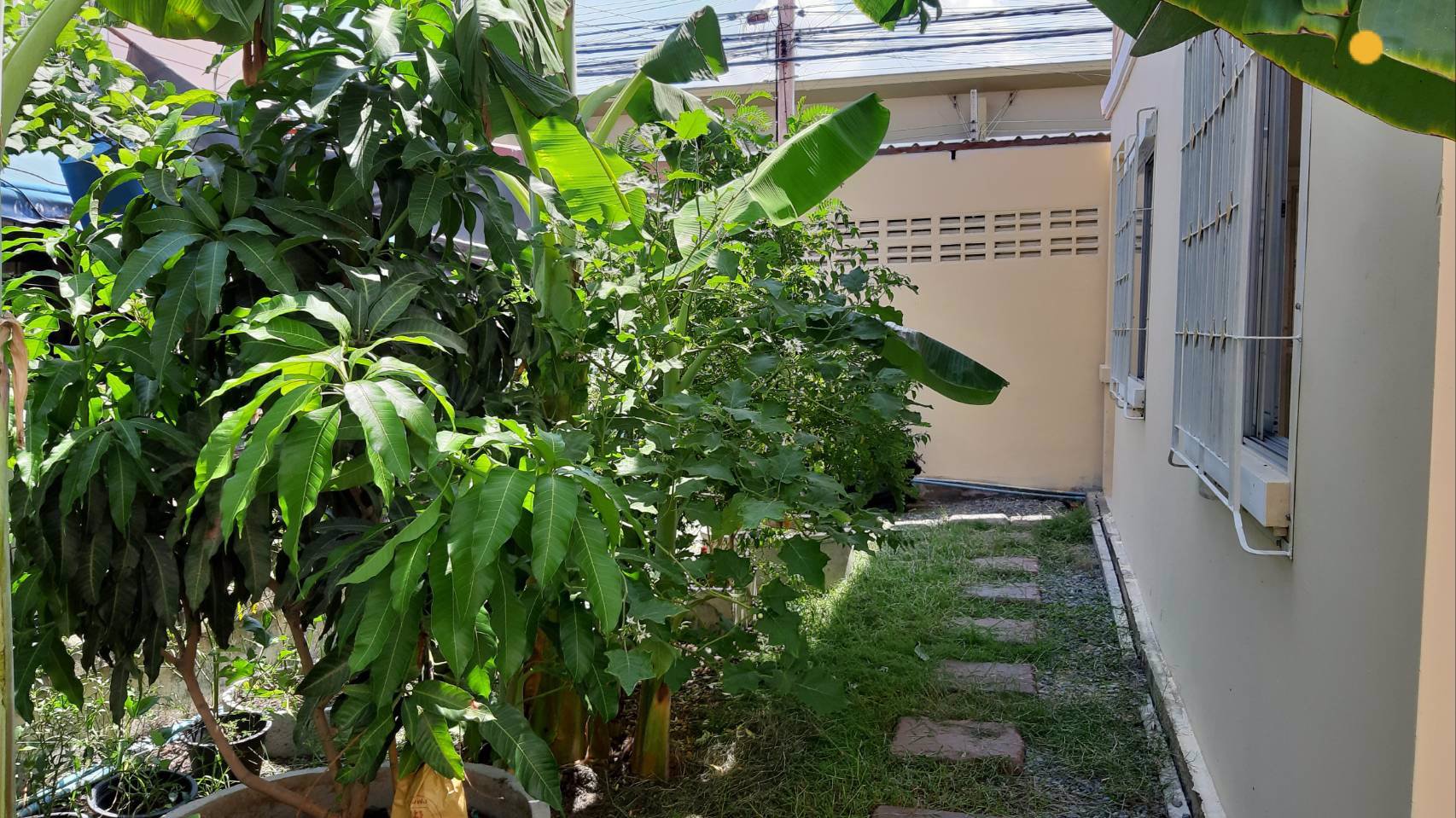 ขายด่วน-บ้านแฝด-2-ชั้น-มพนาลี-ซอยประชาอุทิศ-90-23-ล้านบาท