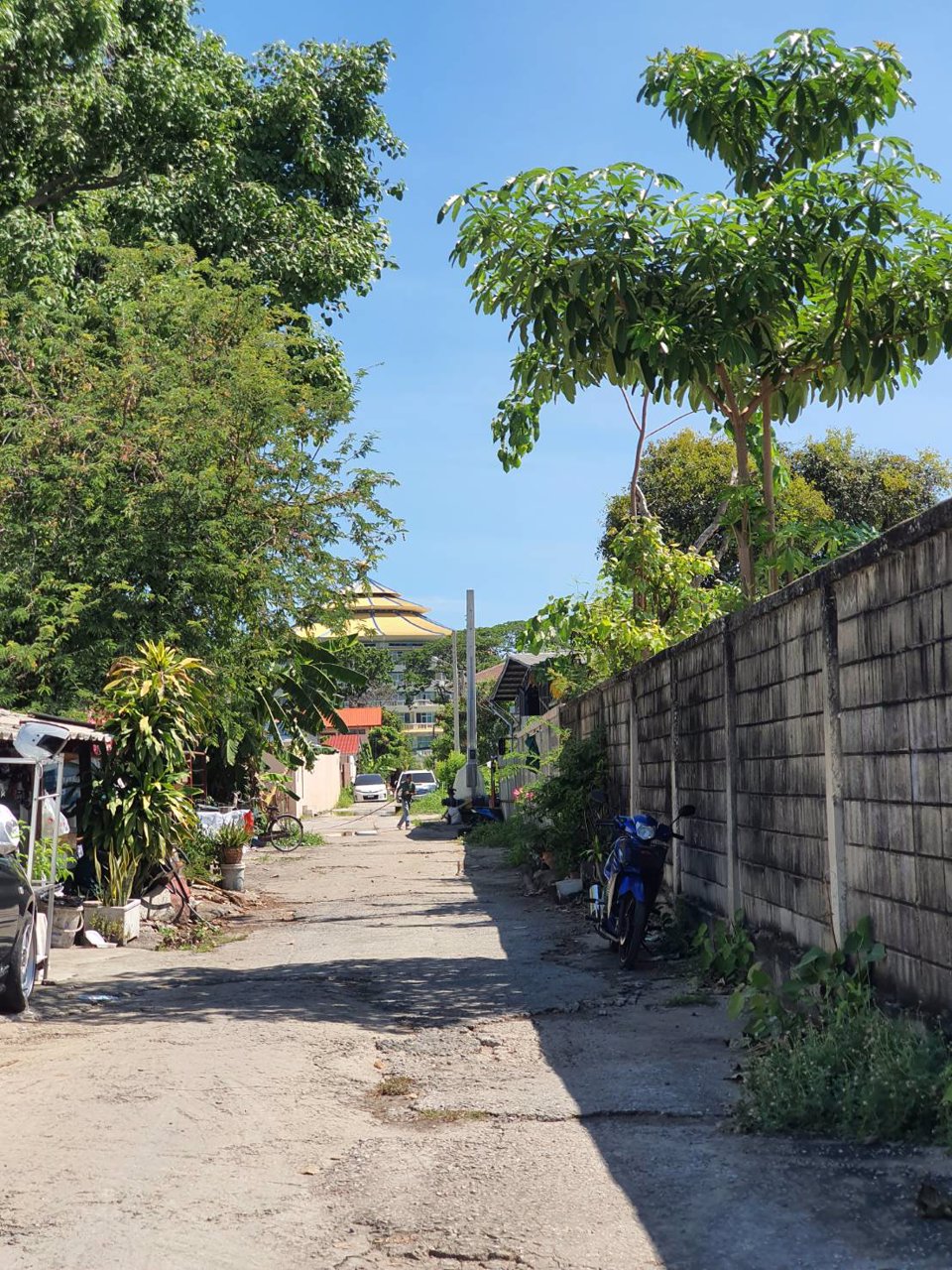 ขาย-ที่ดินเปล่า-1-งาน-25-ตารางวา