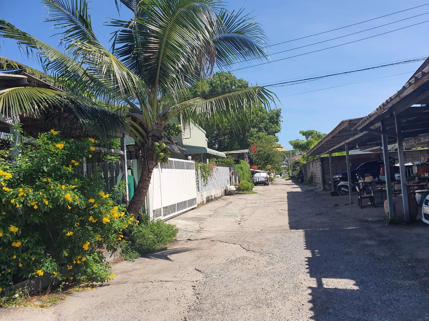 ขาย-ที่ดินเปล่า-1-งาน-25-ตารางวา