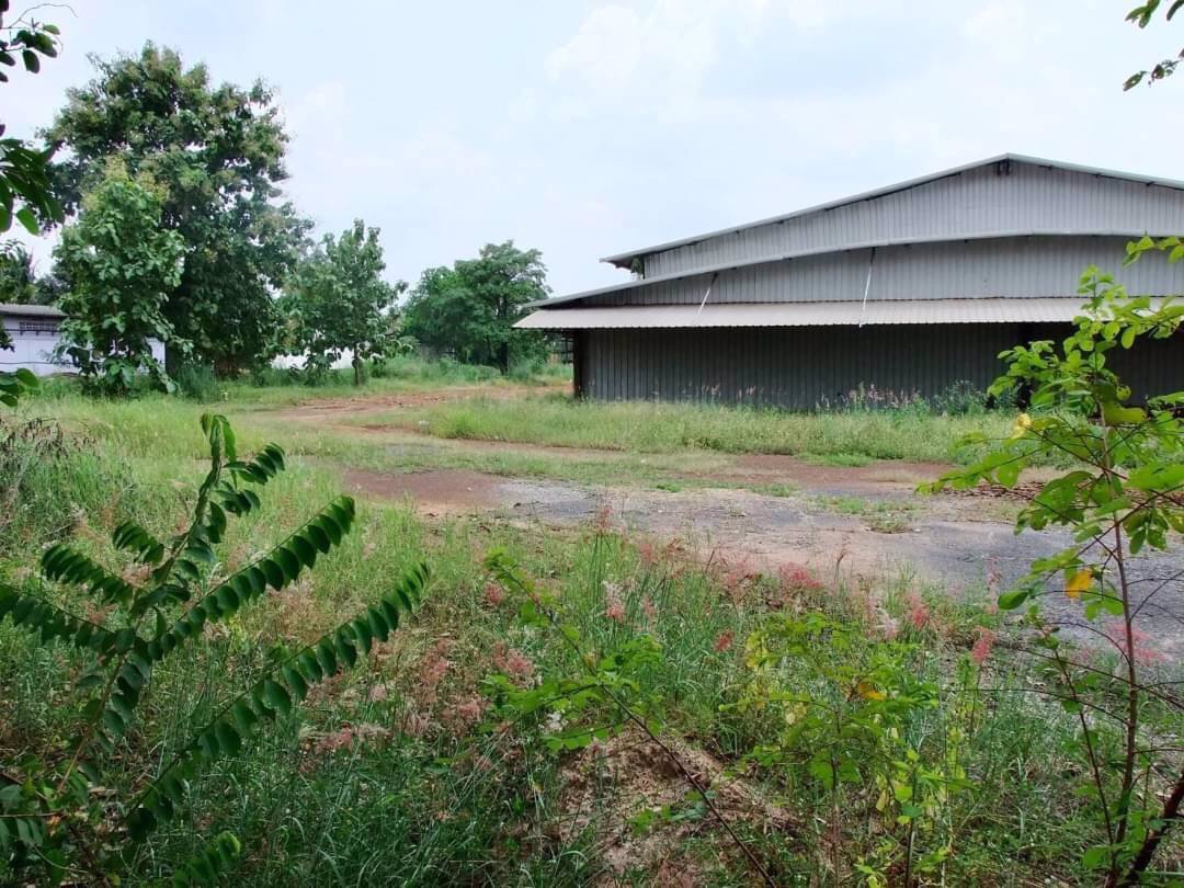 ขายที่ดิน-23-ไร่-sale-ลดราคาแบบสุดๆ-ทำเลดี-อยู่แหล่งชุมชนและธุรกิจ