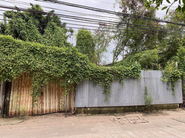 ขายที่ดินเปล่าใจกลางเมือง-180-ตรว-แขวงแสมดำ-บางขุนเทียน-กรุงเทพมหานคร