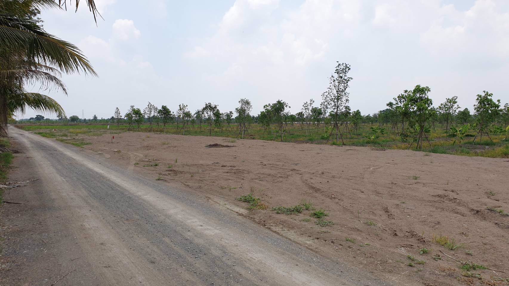 ขายที่ดินเปล่าถมแล้วเป็นบางส่วน-แบ่งแปลงย่อยยกร่องสวนเกษตร