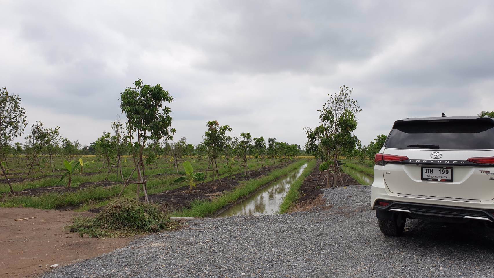 ขายที่ดินเปล่าถมแล้วเป็นบางส่วน-แบ่งแปลงย่อยยกร่องสวนเกษตร