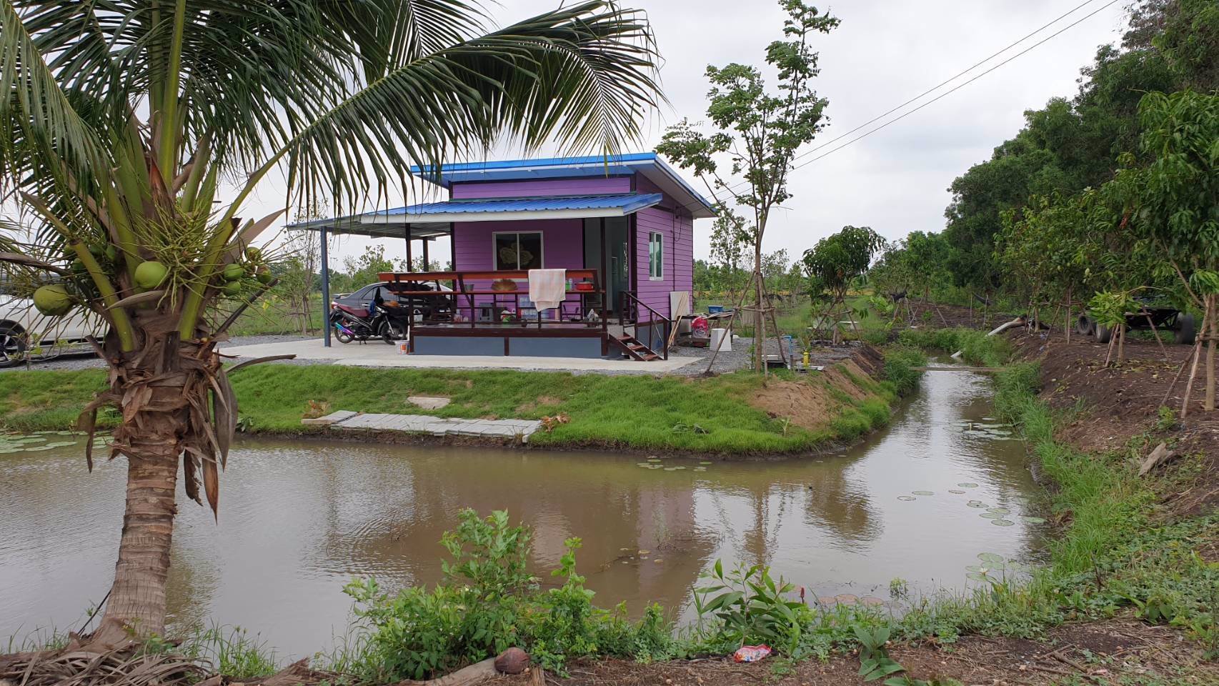 ขายที่ดินเปล่าถมแล้วเป็นบางส่วน-แบ่งแปลงย่อยยกร่องสวนเกษตร