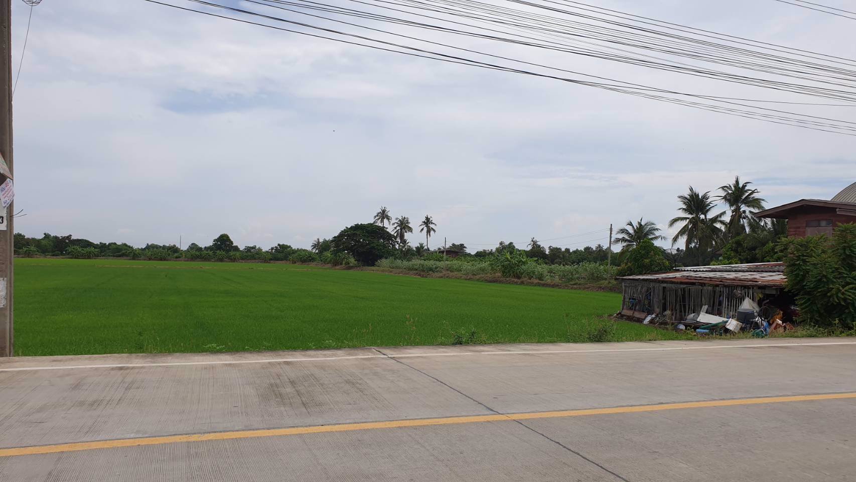 ที่ดินสวยๆทำเลดีติดถนนใหญ่แบ่งล็อค-อยู่ข้าง-อบตหนองเพรางาย-จนนทบุรี