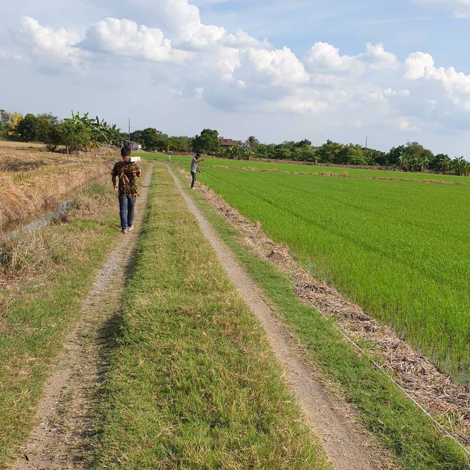 ที่ดินสวยๆทำเลดีติดถนนใหญ่แบ่งล็อค-อยู่ข้าง-อบตหนองเพรางาย-จนนทบุรี