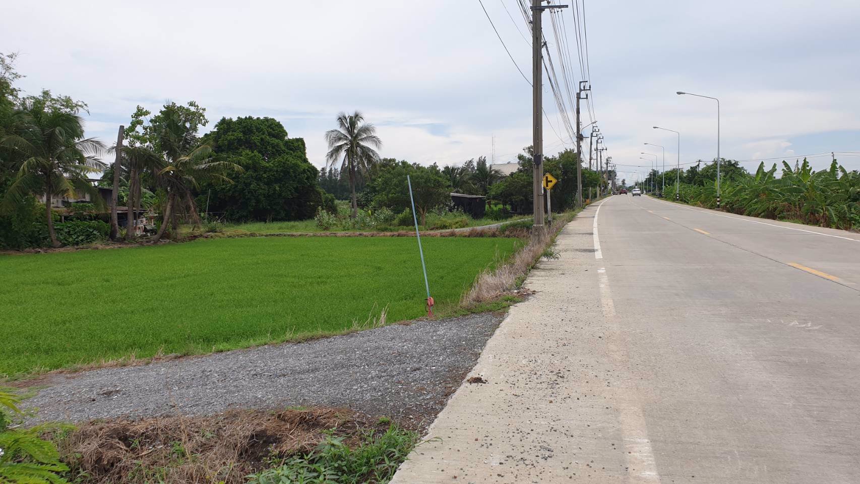 ที่ดินสวยๆทำเลดีติดถนนใหญ่แบ่งล็อค-อยู่ข้าง-อบตหนองเพรางาย-จนนทบุรี