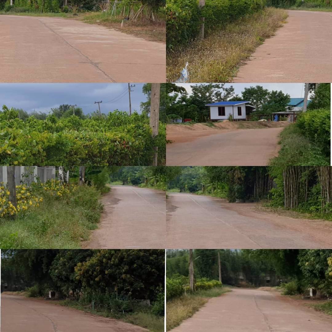 ขายที่ดินสวนทุเรียน-22ไร่-มี500กว่าต้น-พร้อมเก็บผลผลิตรายได้ดี-จปราจีนบุรี