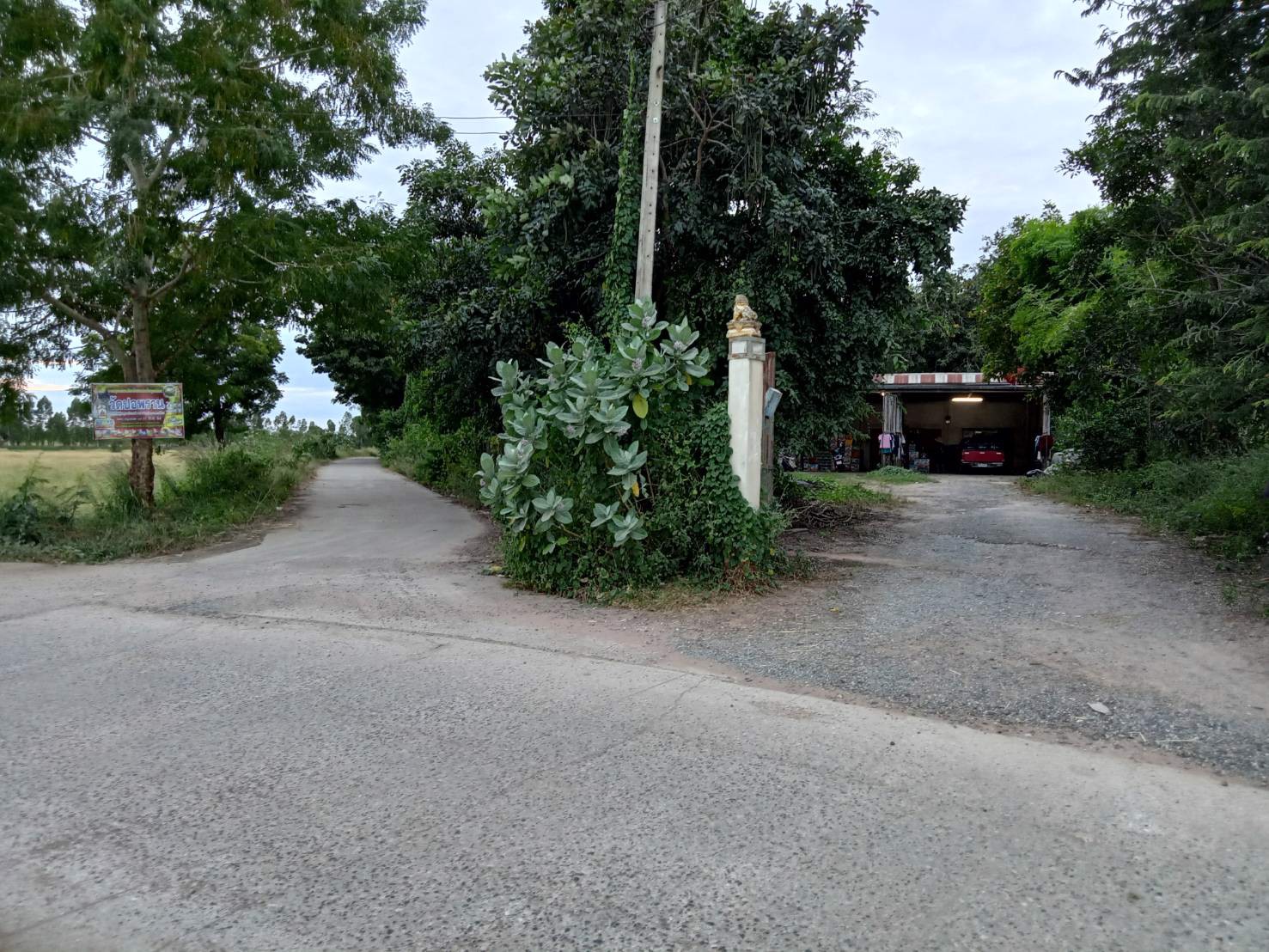 ขายที่ดินสวนพร้อมถมจำนวน-1-ไร่-อ-โชคชัย-จนครราชสีมา