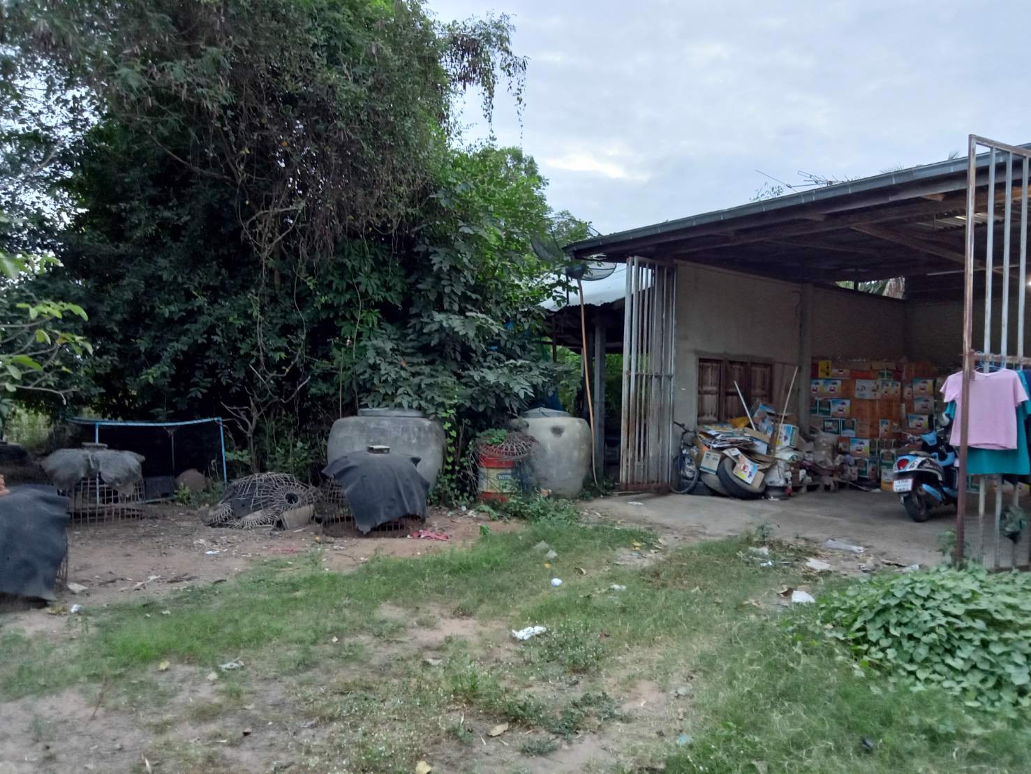 ขายที่ดินสวนพร้อมถมจำนวน-1-ไร่-อ-โชคชัย-จนครราชสีมา