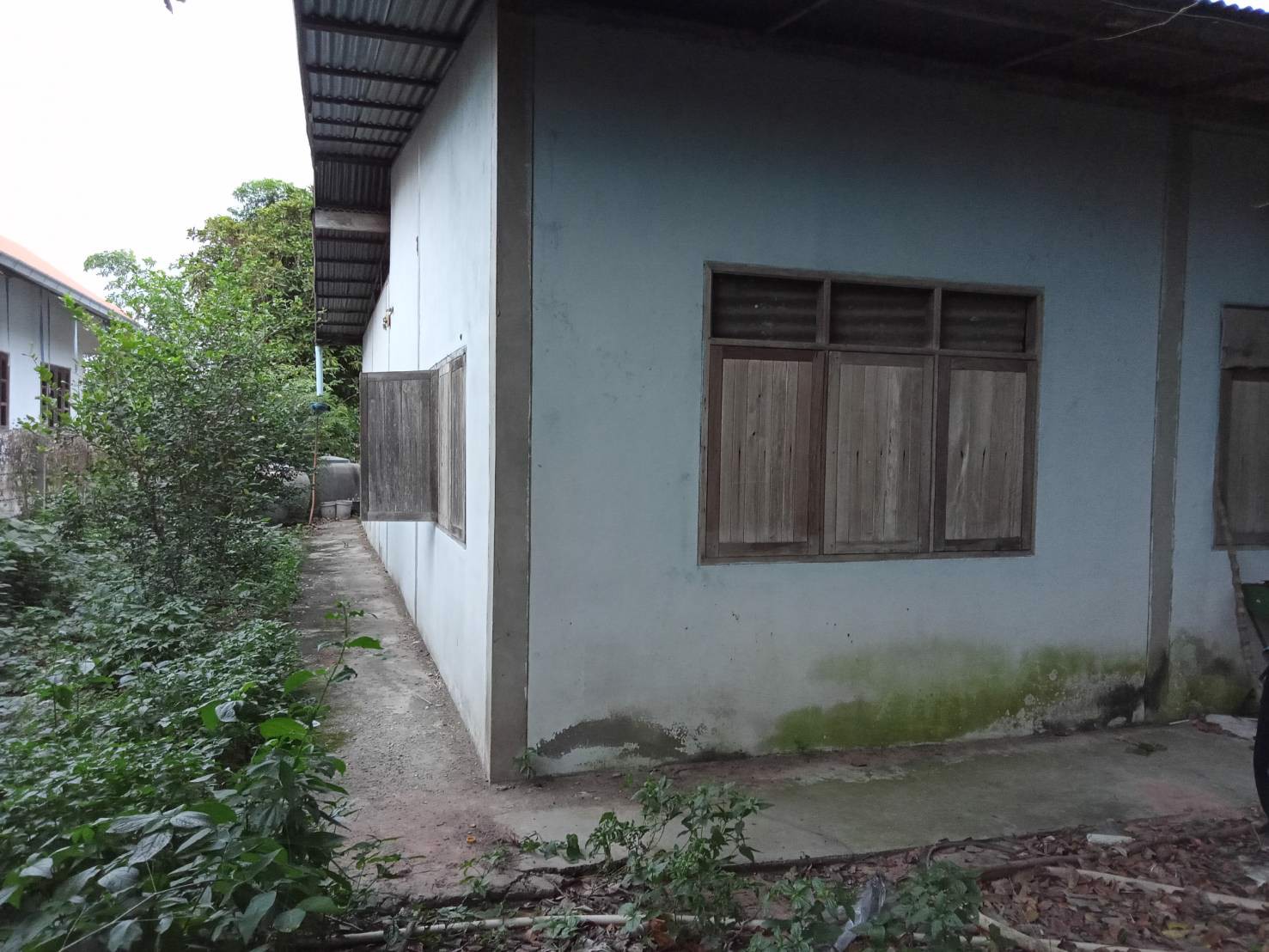 ขายที่ดินสวนพร้อมถมจำนวน-1-ไร่-อ-โชคชัย-จนครราชสีมา