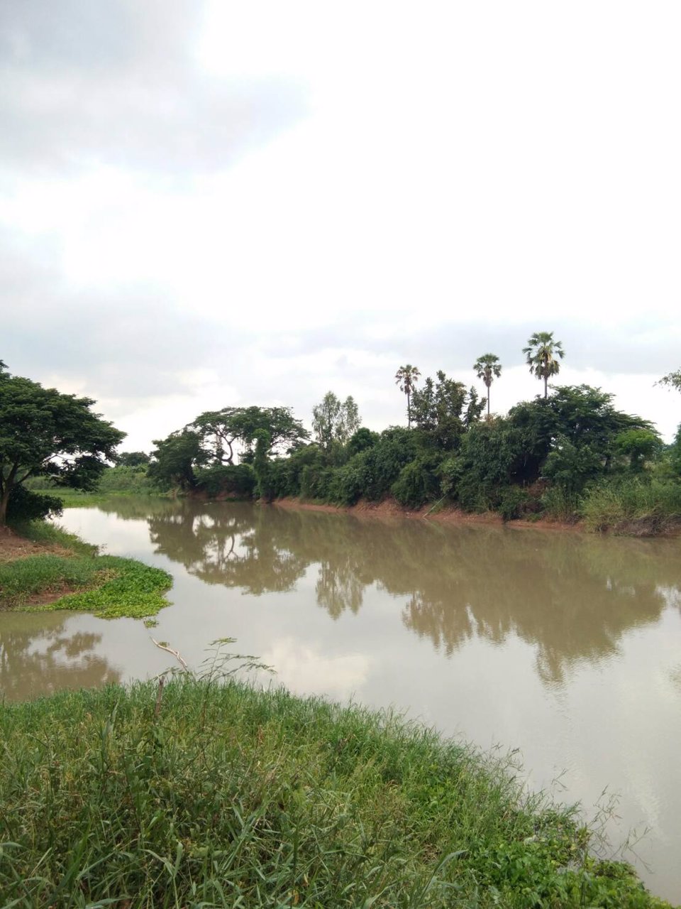 ขายที่ดินเปล่าติดแม่น้ำท่าจีน-2-ไร่-2-งาน-อเดิมบาง-จสุพรรณบุรี