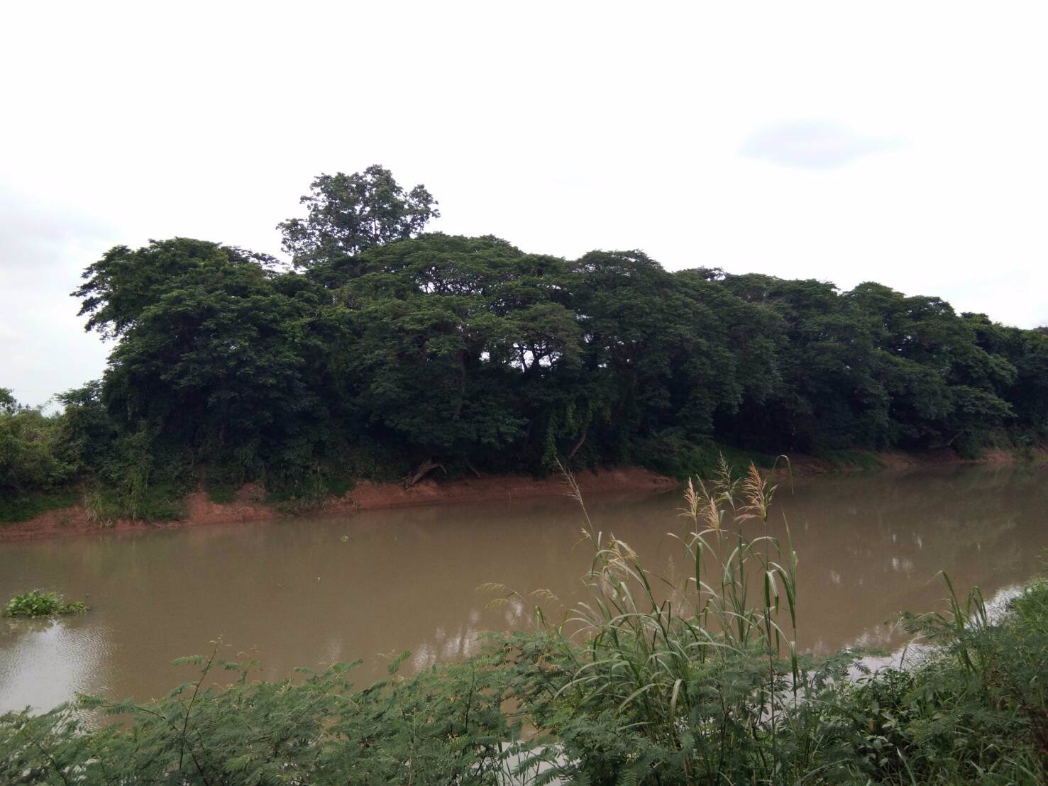 ขายที่ดินเปล่าติดแม่น้ำท่าจีน-2-ไร่-2-งาน-อเดิมบาง-จสุพรรณบุรี