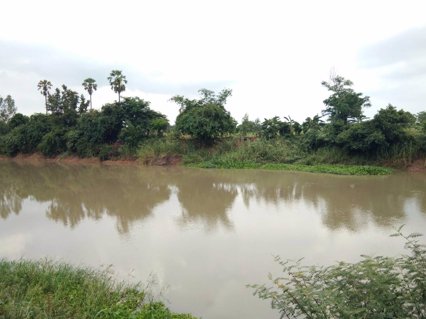 ขายที่ดินเปล่าติดแม่น้ำท่าจีน-2-ไร่-2-งาน-อเดิมบาง-จสุพรรณบุรี