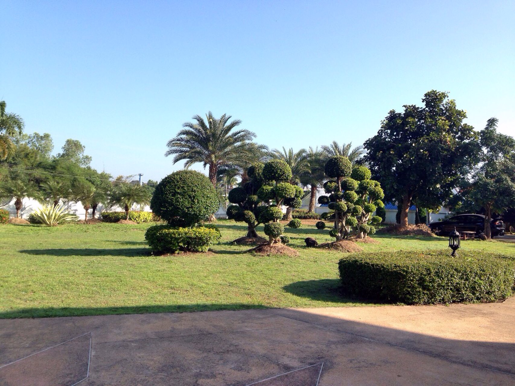 ขายบ้านเดี่ยว-2-ชั้น-พร้อมที่ดิน-ติดทางขึ้นภูกระดึง-อำเภอภูกระดึง-จังหวัดเลย