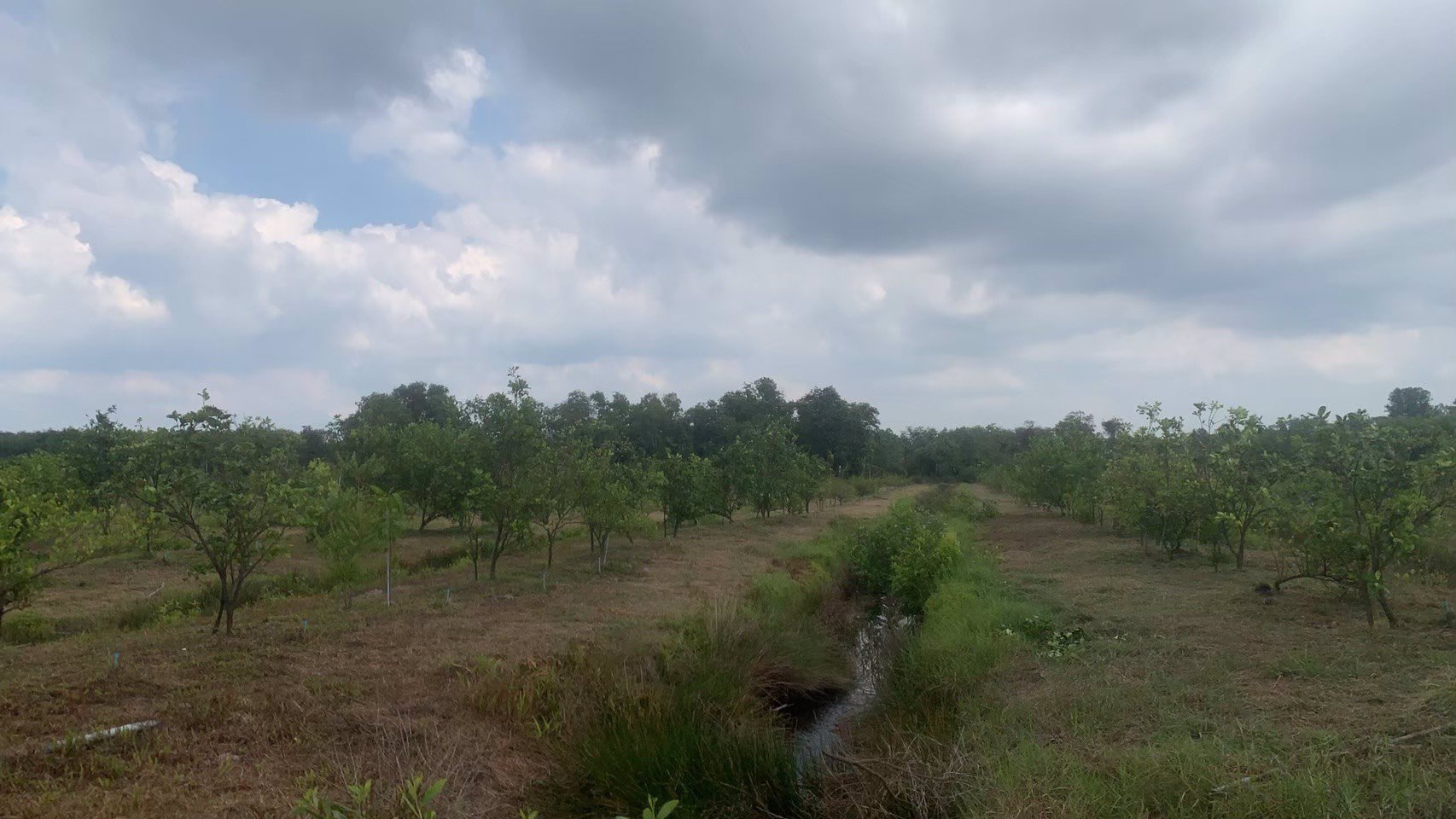 ขายที่ดินทำเลดี-พร้อมสวน-พร้อมบ้าน-1-หลัง-ตำบลโขมง-อำเภอท่าใหม่-จังหวัดจันทบุรี