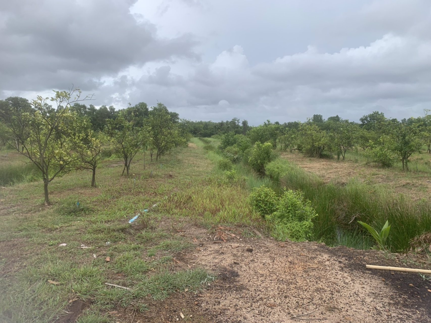 ขายที่ดินทำเลดี-พร้อมสวน-พร้อมบ้าน-1-หลัง-ตำบลโขมง-อำเภอท่าใหม่-จังหวัดจันทบุรี