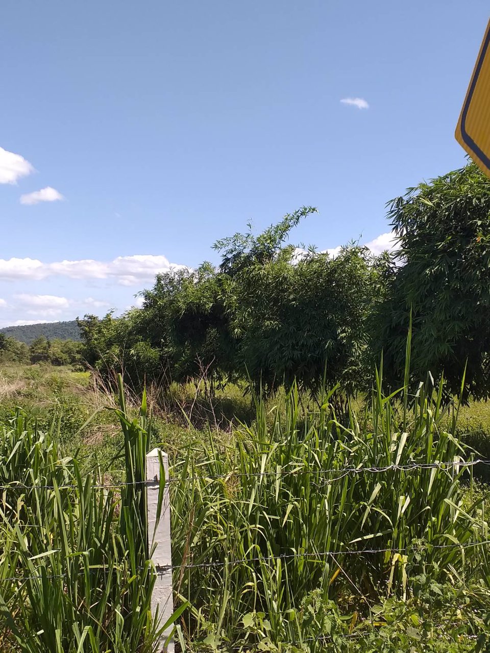 ขายที่ดิน-ทำเลดีเนื้อที่-12-ไร่-14-ตรวา-อเมือง-จสุโขทัย