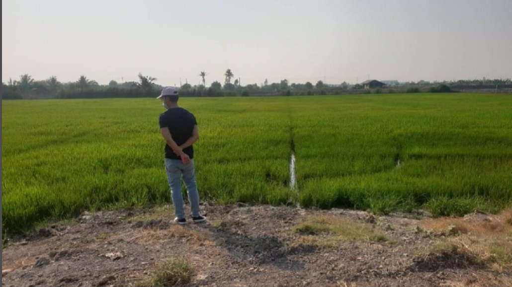 ขายที่ดินบางเลนใกล้วัดไผ่โรงวัวไร่ละไม่ถึงล้านจำนวน-9-ไร่-2-งาน-898-ตรวา