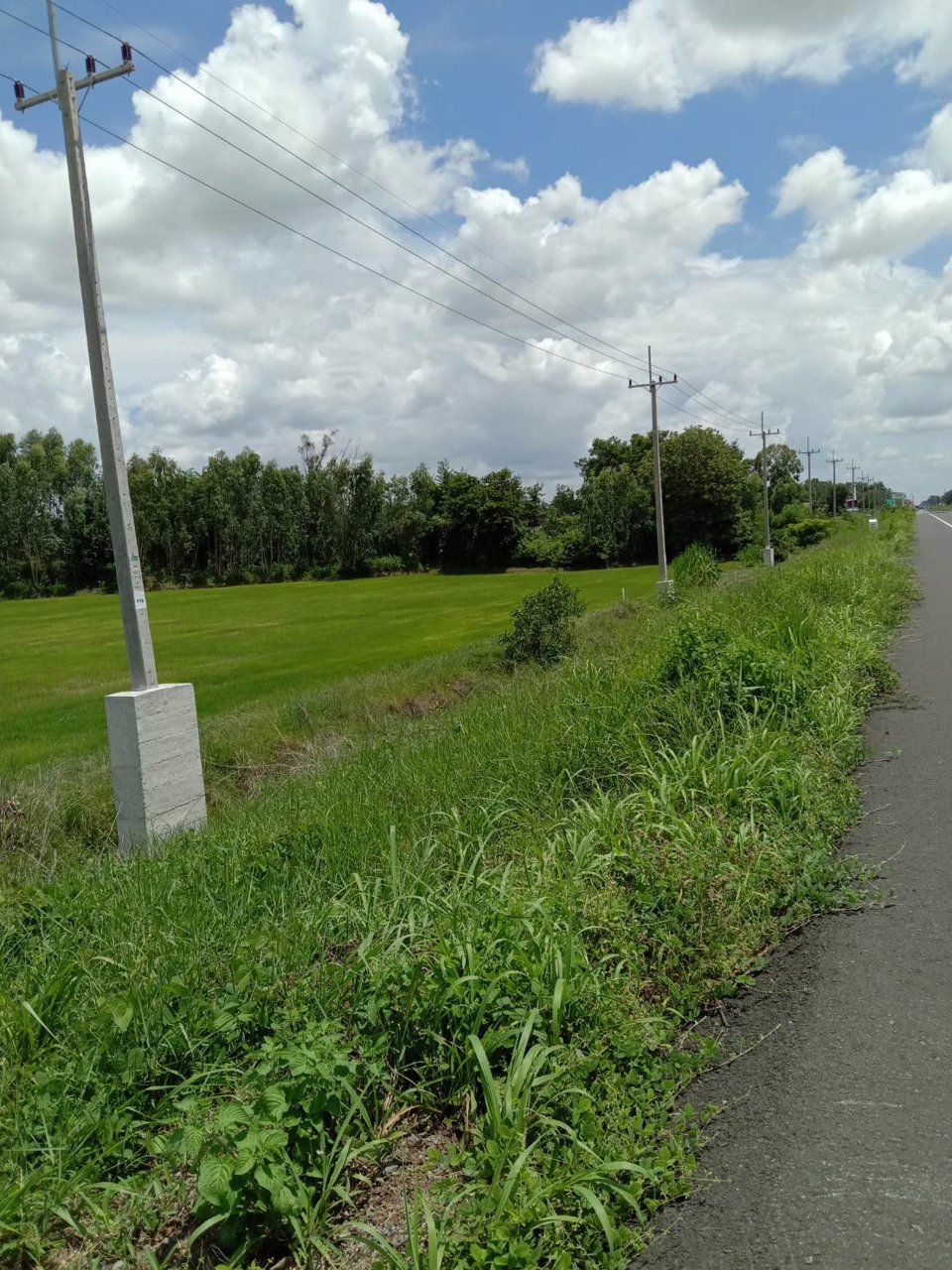 ขายที่ดินทำเลทอง