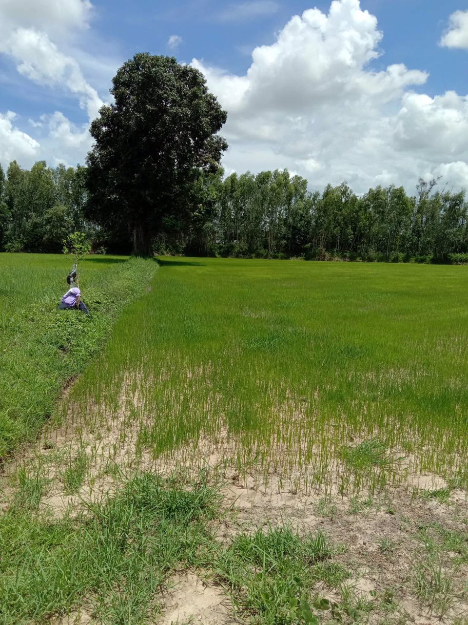 ขายที่ดินทำเลทอง