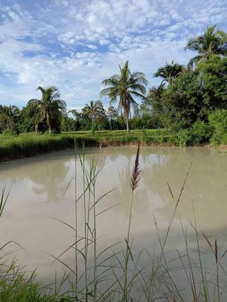 ขายที่สวยมาก-เนื้อที่-13ไร่