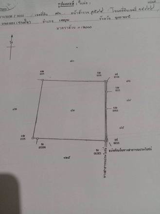 ขายที่สวยมาก-เนื้อที่-13ไร่