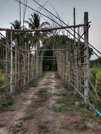 ขายที่สวยมาก-เนื้อที่-13ไร่