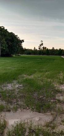 ขายที่สวยมาก-เนื้อที่-13ไร่