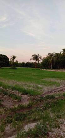 ขายที่สวยมาก-เนื้อที่-13ไร่