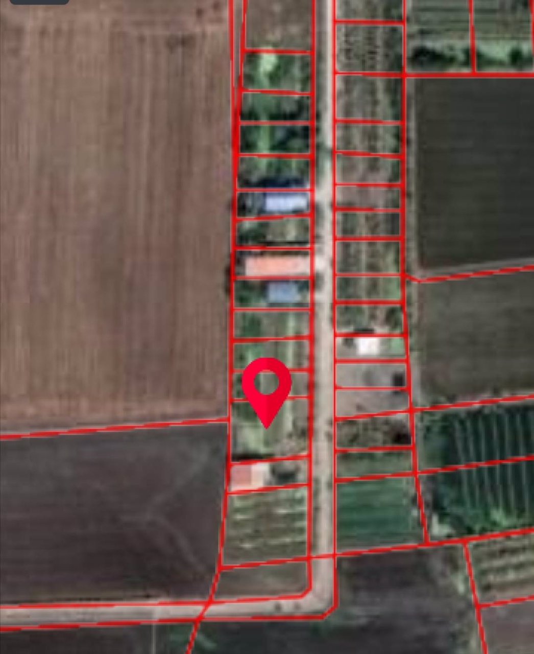 ขายที่ดินจัดสรร-206-ตรว-ตำบลบางระกำ-อำเภอบางเลน-จังหวัดนครปฐม