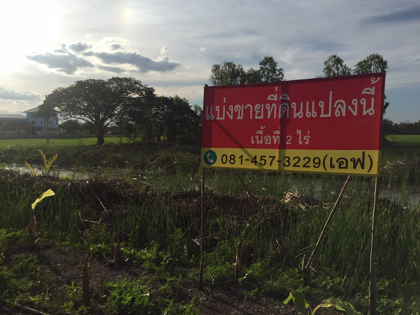 แบ่งขายที่ดิน-2-ไร่-ทำเลดี-เหมาะทำธุรกิจ-อำเภอนครชัยศรี-จังหวัดนครปฐม
