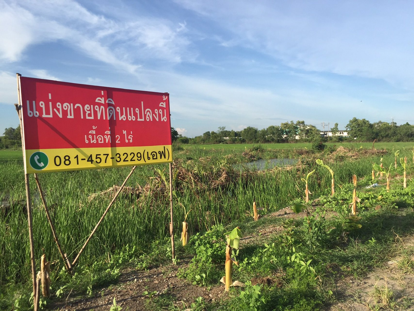 แบ่งขายที่ดิน-2-ไร่-ทำเลดี-เหมาะทำธุรกิจ-อำเภอนครชัยศรี-จังหวัดนครปฐม
