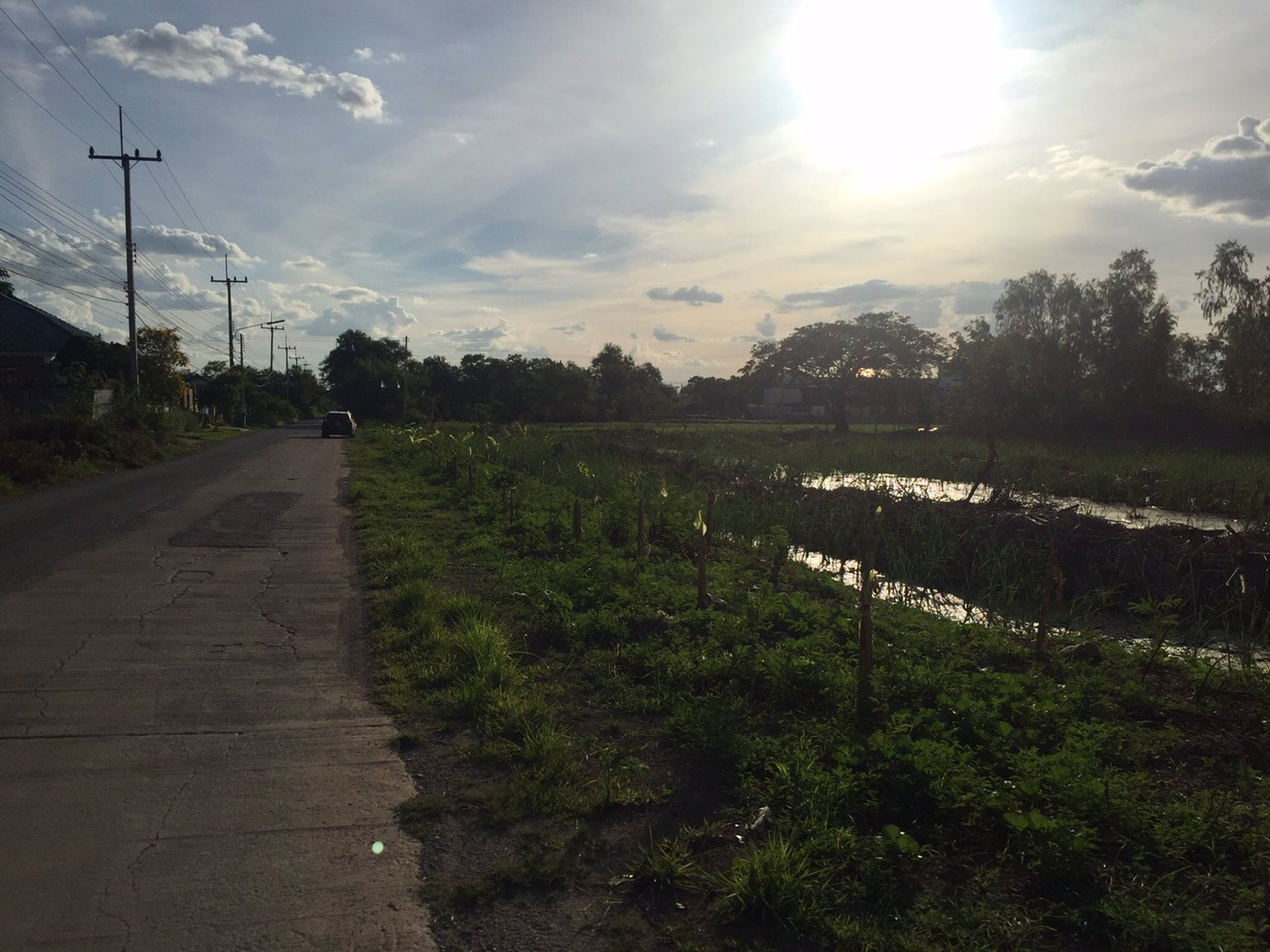 แบ่งขายที่ดิน-2-ไร่-ทำเลดี-เหมาะทำธุรกิจ-อำเภอนครชัยศรี-จังหวัดนครปฐม