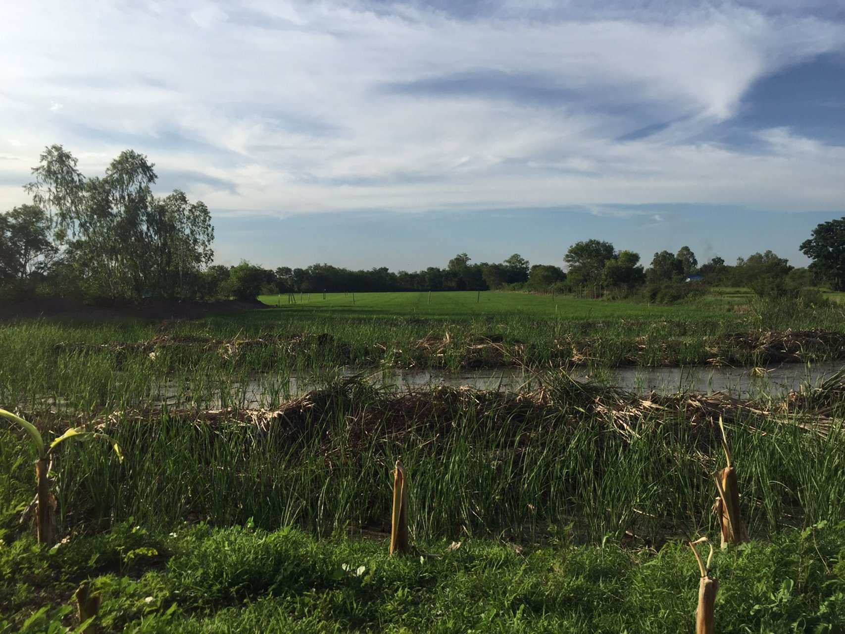 แบ่งขายที่ดิน-2-ไร่-ทำเลดี-เหมาะทำธุรกิจ-อำเภอนครชัยศรี-จังหวัดนครปฐม