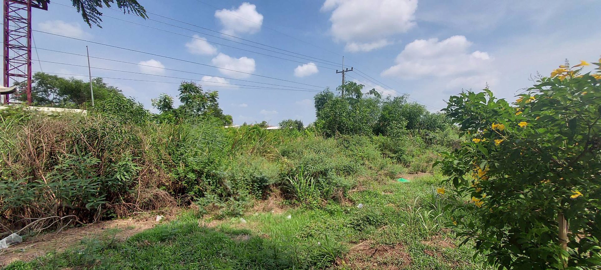 ขายด่วน-ที่ดิน-19-ไร่-2-งาน-46-ตรว-หน้ากว้าง-78-เมตร-ติดถนน-347-บางประอิน-บางประหัน