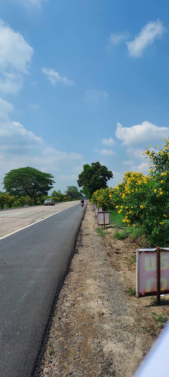 ขายด่วน-ที่ดิน-19-ไร่-2-งาน-46-ตรว-หน้ากว้าง-78-เมตร-ติดถนน-347-บางประอิน-บางประหัน