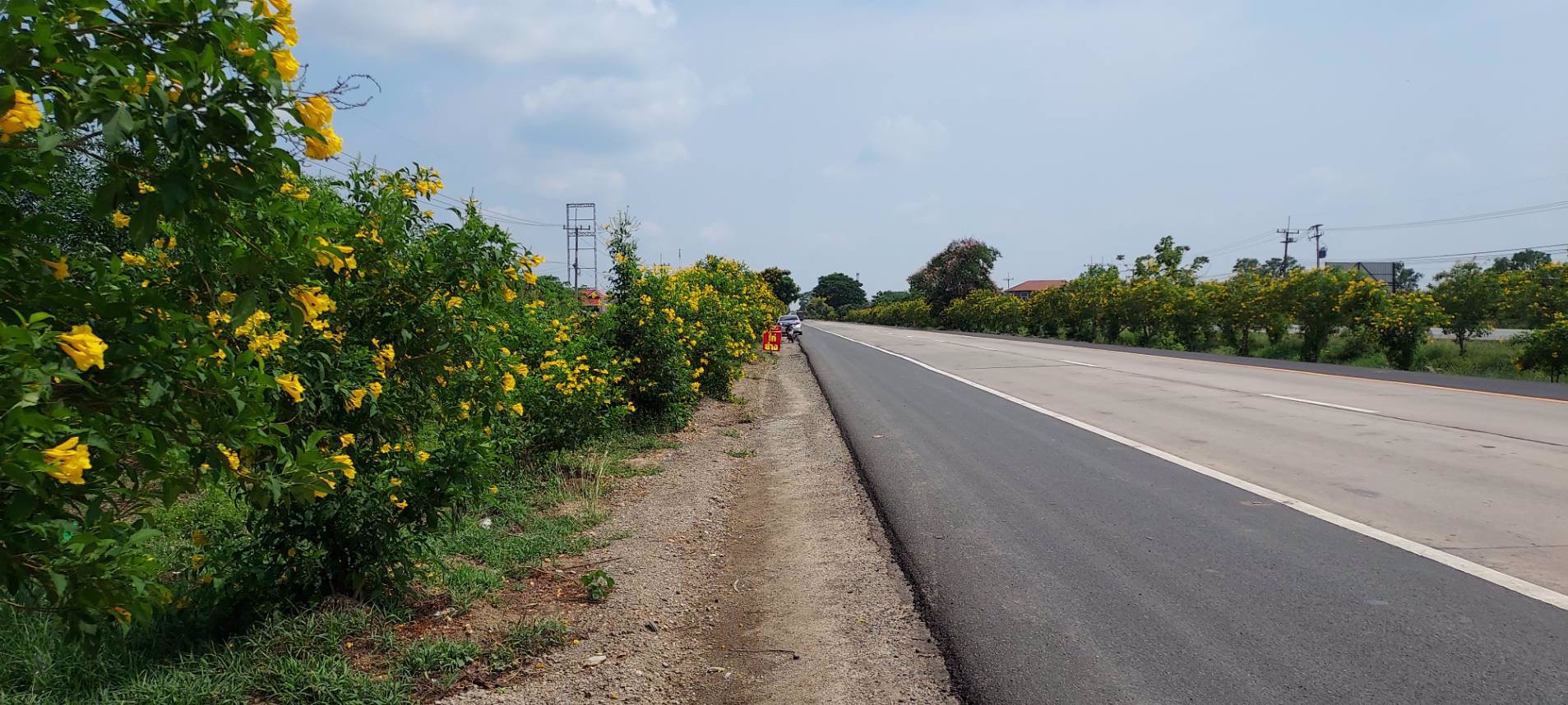 ขายด่วน-ที่ดิน-19-ไร่-2-งาน-46-ตรว-หน้ากว้าง-78-เมตร-ติดถนน-347-บางประอิน-บางประหัน