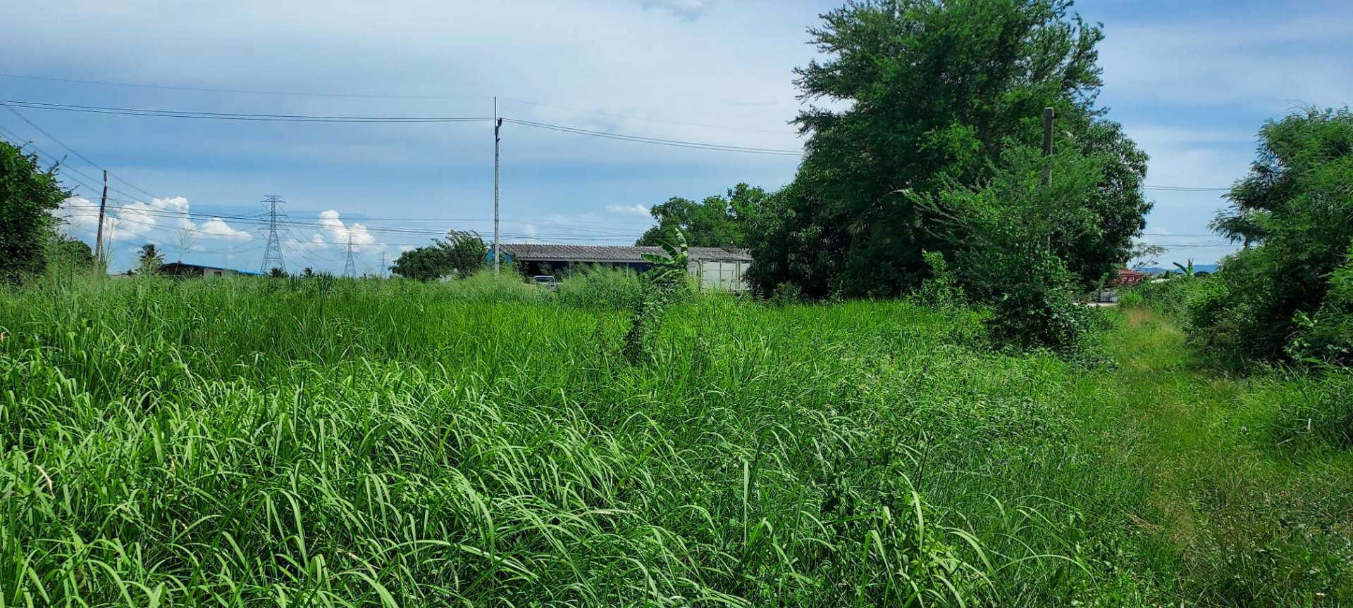 ขายที่ดิน-1-ไร่-ติดถนนคอนกรีต-โฉนด-นส4จ-พร้อมโอน-บ้านบึง-ชลบุรี