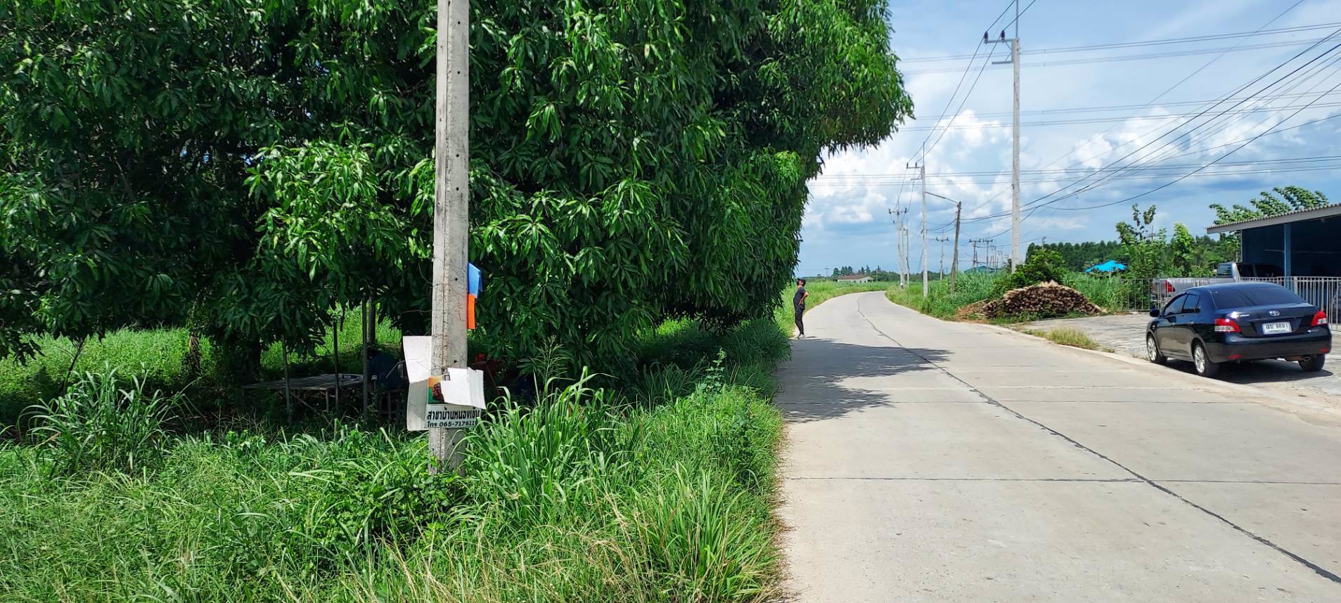 ขายที่ดิน-1-ไร่-ติดถนนคอนกรีต-โฉนด-นส4จ-พร้อมโอน-บ้านบึง-ชลบุรี