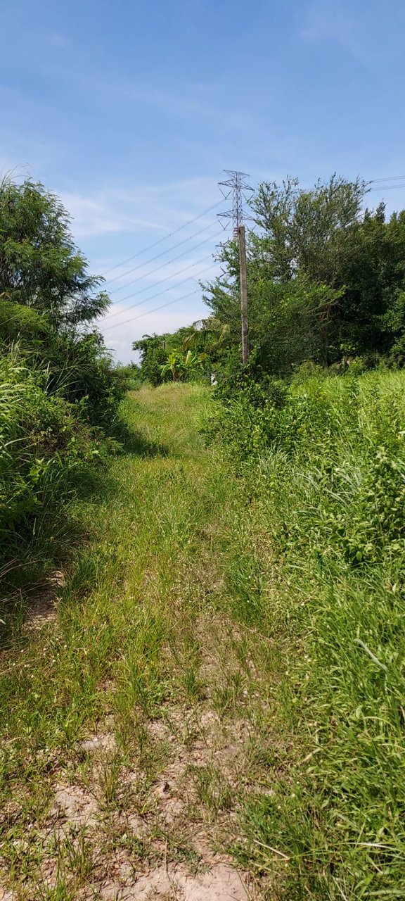 ขายที่ดิน-1-ไร่-ติดถนนคอนกรีต-โฉนด-นส4จ-พร้อมโอน-บ้านบึง-ชลบุรี