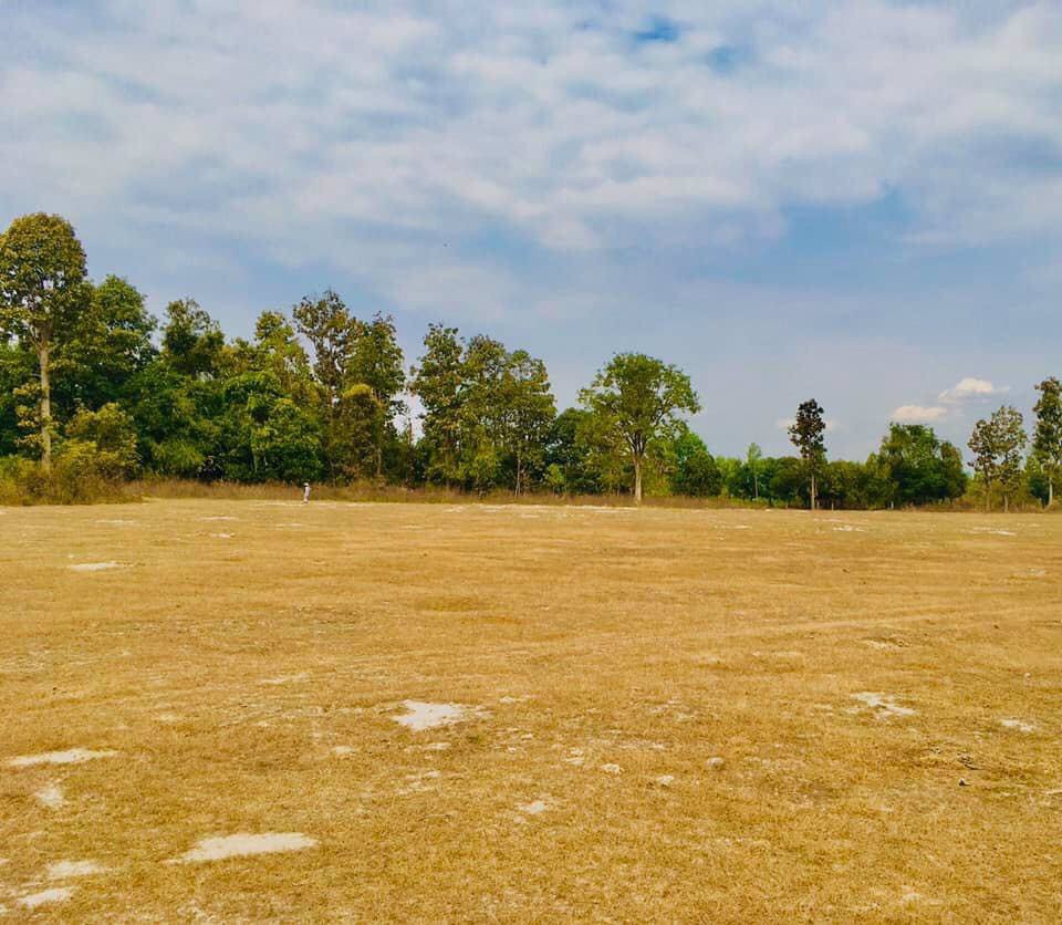 ขายที่ดิน-16-ไร่-ตดอนจิก-อพิบูลมังสาหาร-จอุบลราชธานี