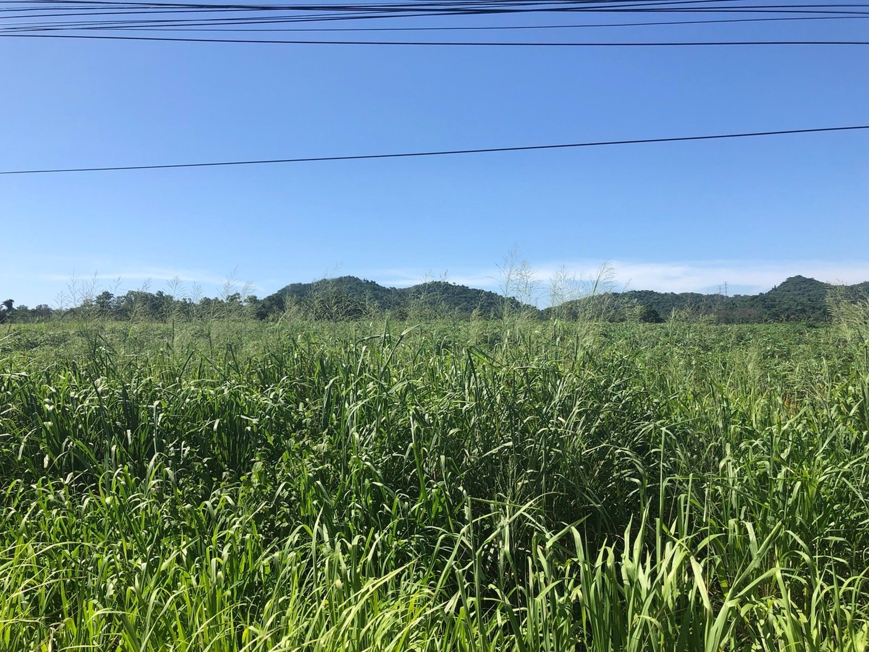 ขายที่ดิน-ทำเลดี-เหมาะสำหรับสร้างธุรกิจ-บางละมุง-จังหวัดชลบุรี