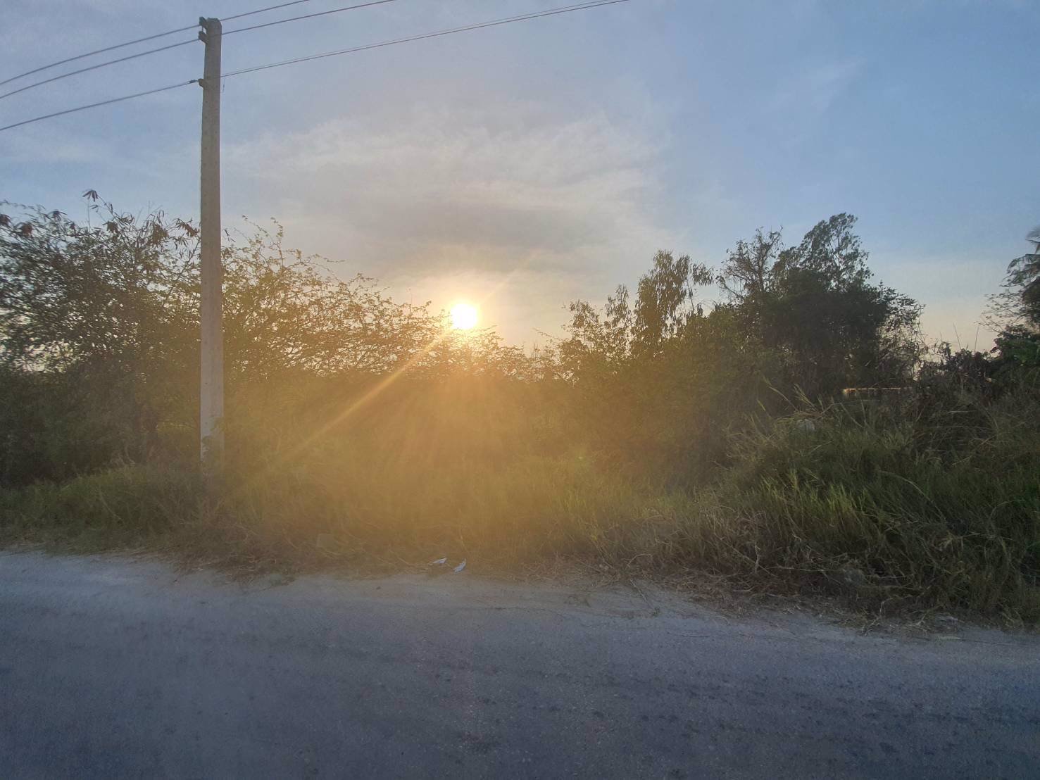 ขายด่วน-ที่ดินทำเลดี-ชะอำ-เกตเวย์สู่หัวหิน-จังหวัดเพชรบุรี