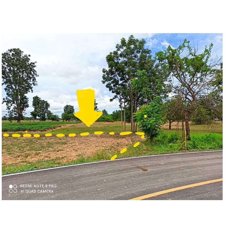 ขายที่ดินสวย-20-ไร่-24-ตรว-ตำบลรางบัว-อำเภอจอมบึง-จังหวัดราชบุรี