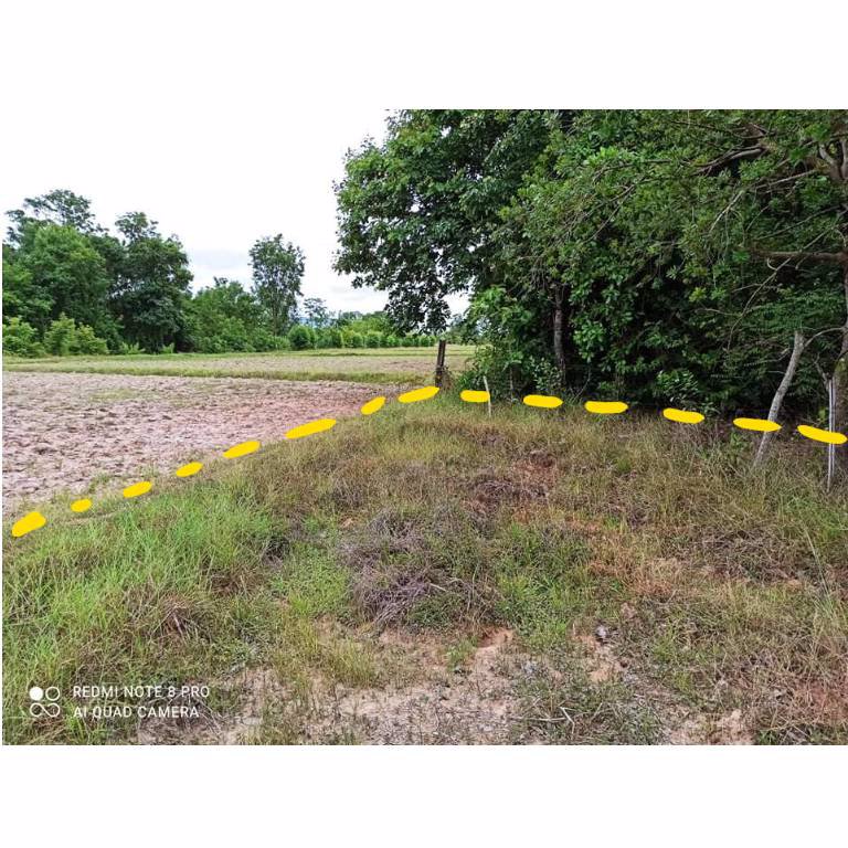 ขายที่ดินสวย-20-ไร่-24-ตรว-ตำบลรางบัว-อำเภอจอมบึง-จังหวัดราชบุรี